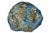Vivid Blue, Cut/Polished Azurite Nodule - Siberia #175562-1